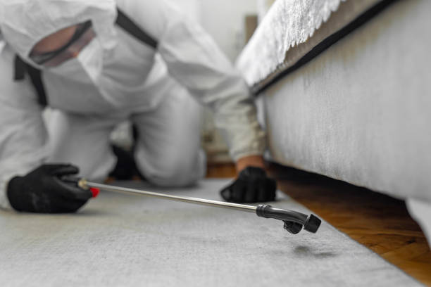 Professional Cockroach Control technician working in Spartanburg County County, SC